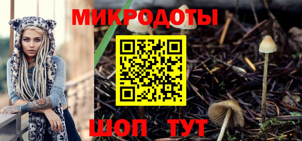 Галлюциногенные грибы Magic Shrooms Ессентуки