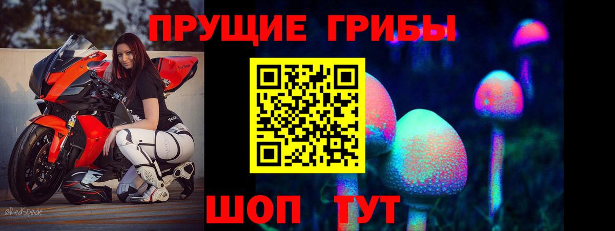 Галлюциногенные грибы Psilocybe  Галлюциногенные грибы Psilocybine cubensis  Вход с VPN  Ессентуки 